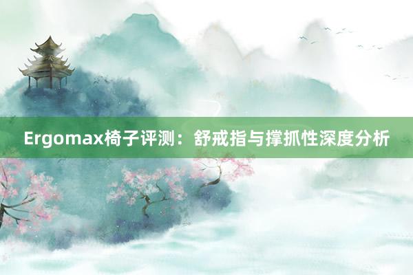 Ergomax椅子评测：舒戒指与撑抓性深度分析